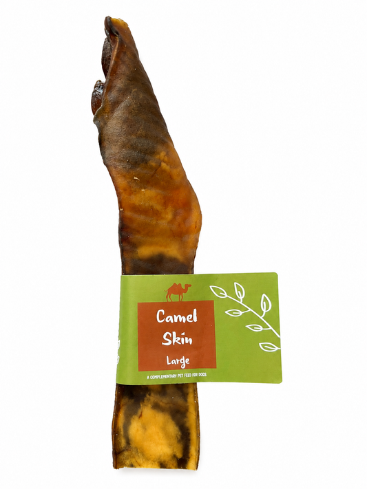 Camel skin (large)