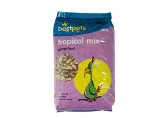 Tropical parrot