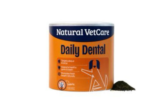 Daily Dental
