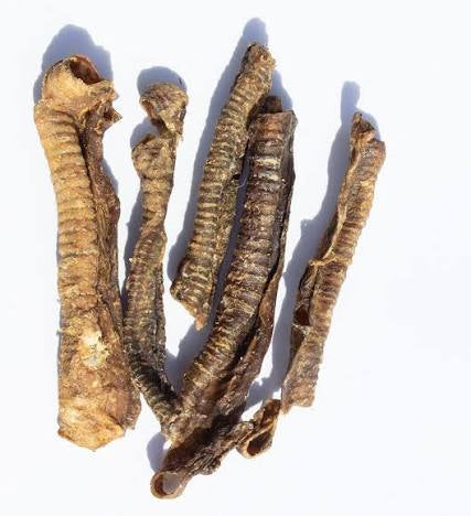 Lamb Trachea
