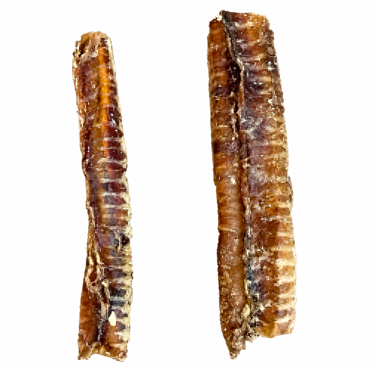 Beef Trachea (30cm)