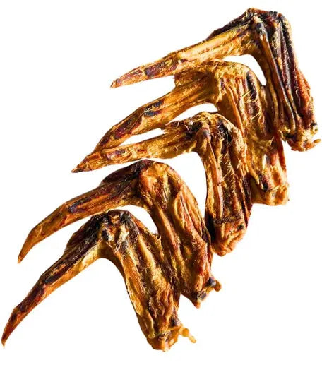 Duck Wing