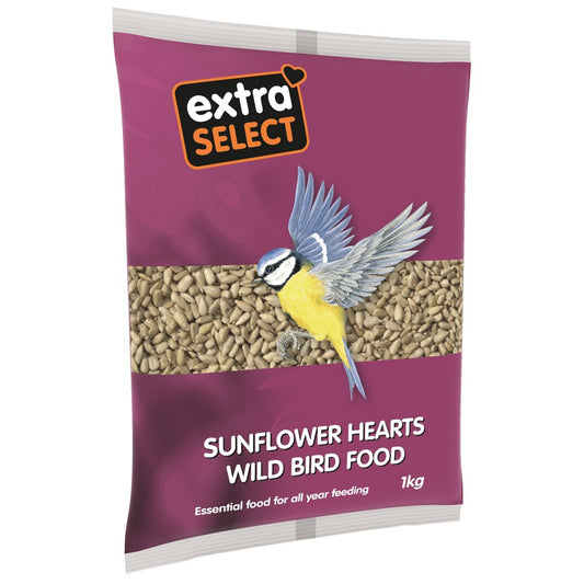 Sunflower Hearts